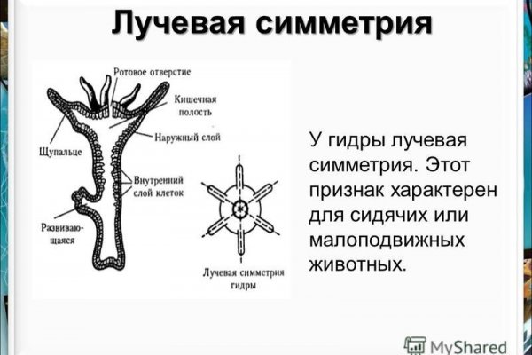 Только через тор кракен