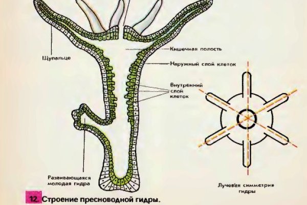 Официальная ссылка на кракен в тор