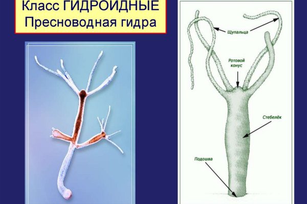 Кракен даркнет маркетплейс