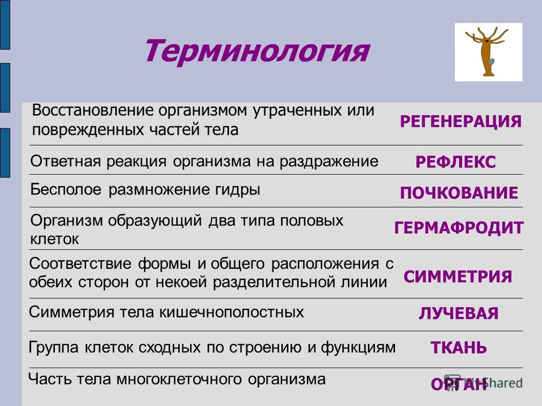 Как восстановить доступ к кракену